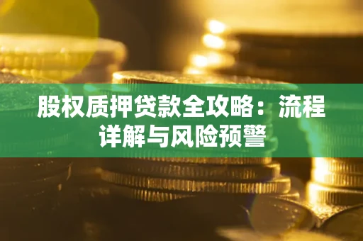 武汉股权质押贷款全攻略：流程详解与风险预警
