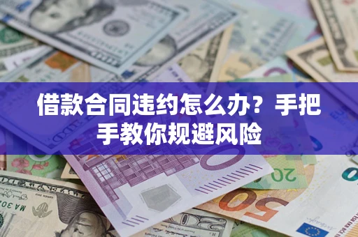 武汉借款合同违约怎么办？手把手教你规避风险