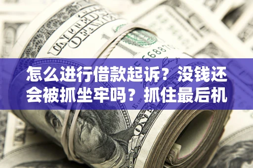 武汉怎么进行借款起诉？没钱还会被抓坐牢吗？抓住最后机会！