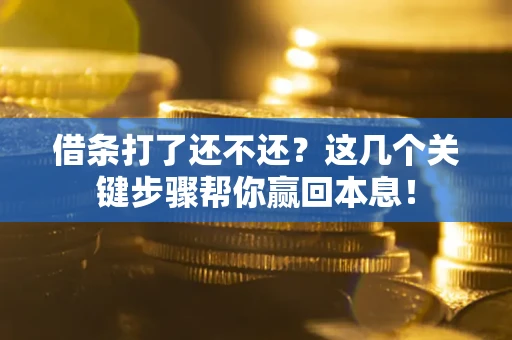 武汉借条打了还不还？这几个关键步骤帮你赢回本息！