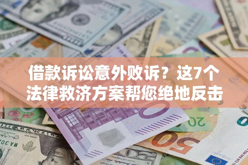 武汉借款诉讼意外败诉？这7个法律救济方案帮您绝地反击！