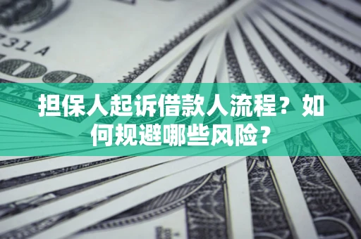 武汉担保人起诉借款人流程？如何规避哪些风险？