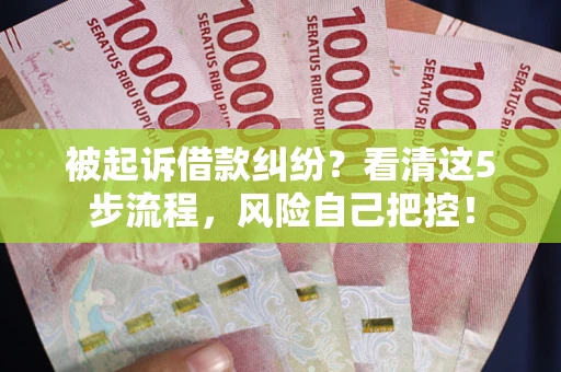 武汉被起诉借款纠纷？看清这5步流程，风险自己把控！